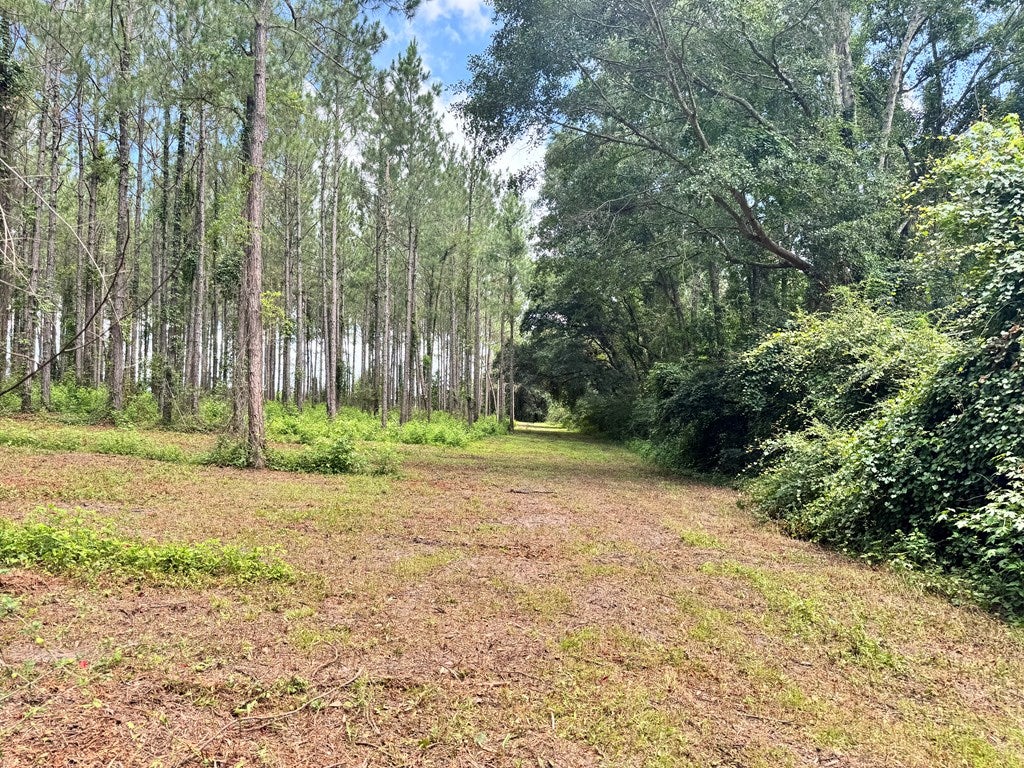 6936 Simpson Road Hahira, GA 31632 - Photo 25 of 34 Gallery Image 25