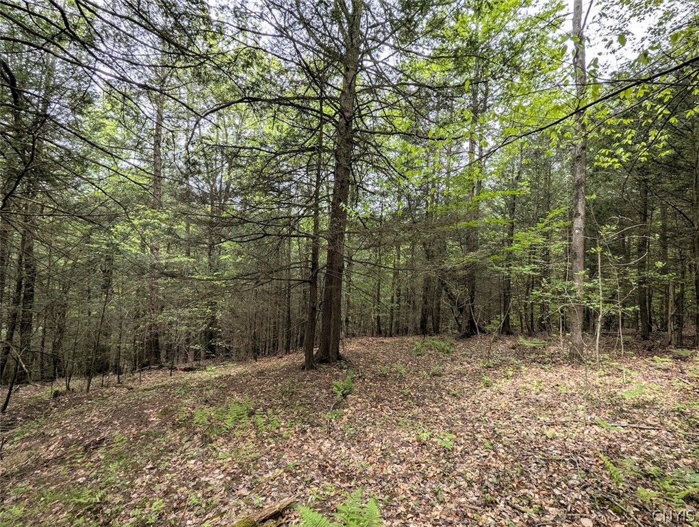 Stewart Road Addison, NY 14801 - Photo 15 of 29