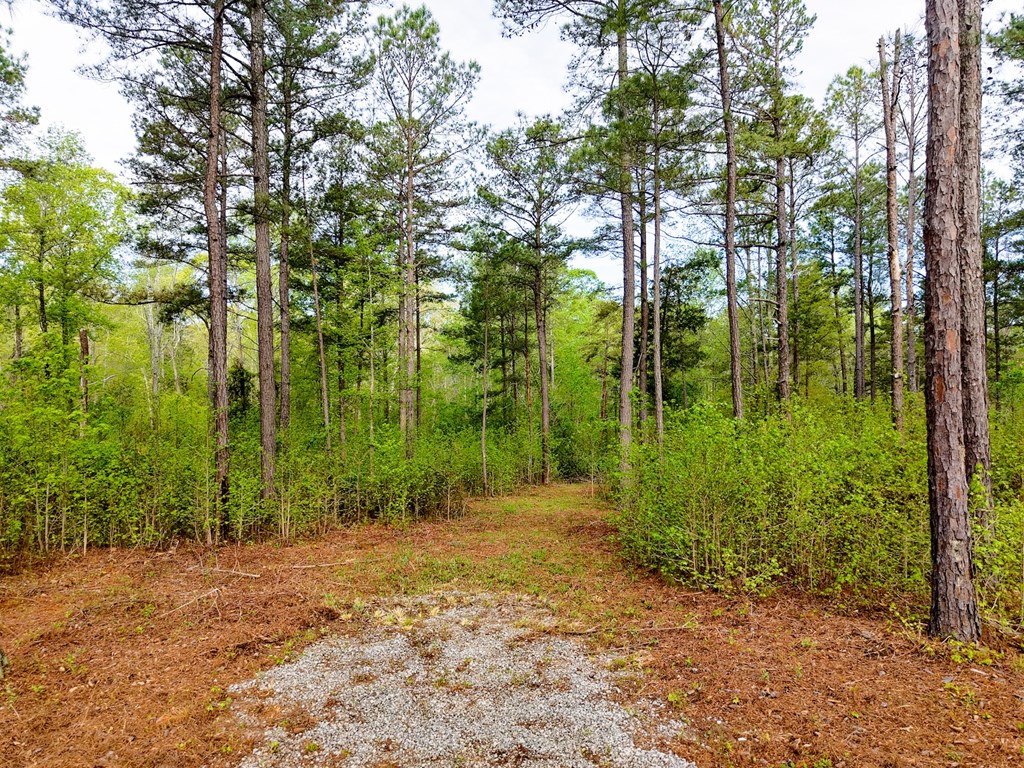 579 Mordeci Mountain Road Gray Court, SC 29645 - Photo 12 of 14 Gallery Image 12