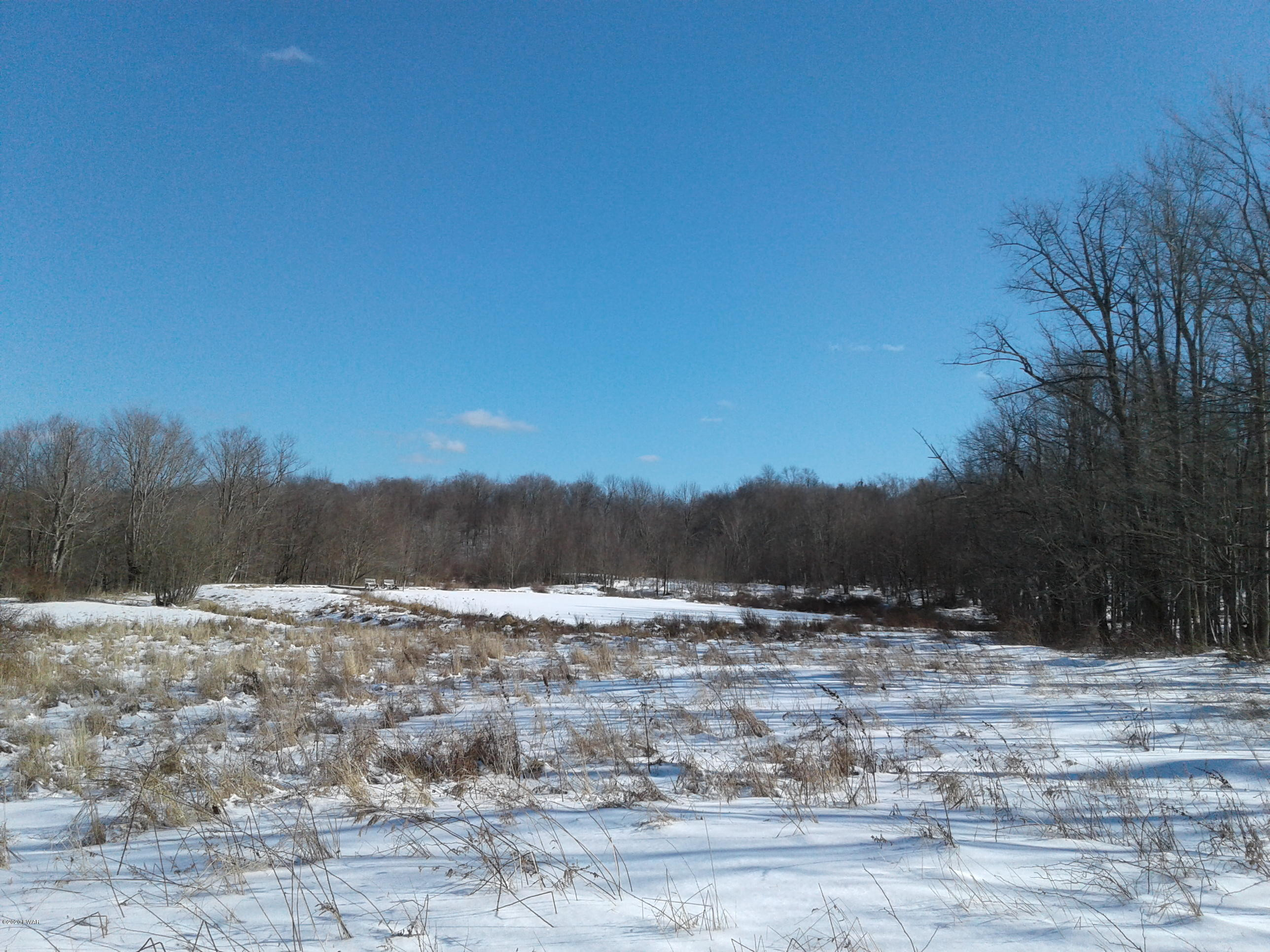 Hickory Hill Road Starrucca, PA 18462 - Photo 7 of 15