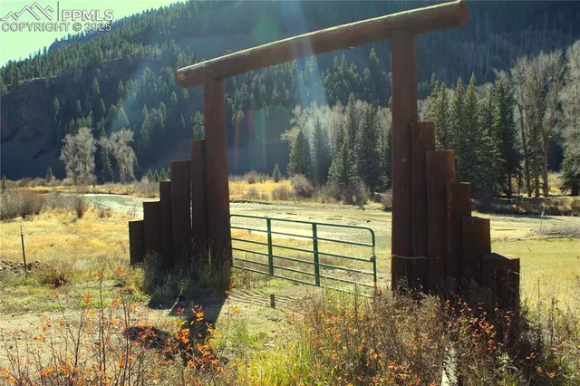 a view of swimming pool and trees