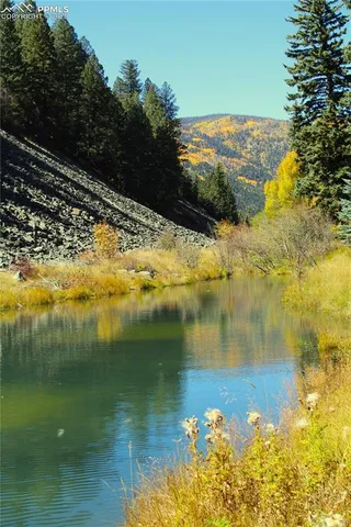 a view of a water pond with lots of trees