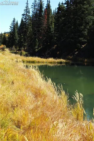 $1,350,000 | 38938 Nf-250 Road, Antonito, CO 81120