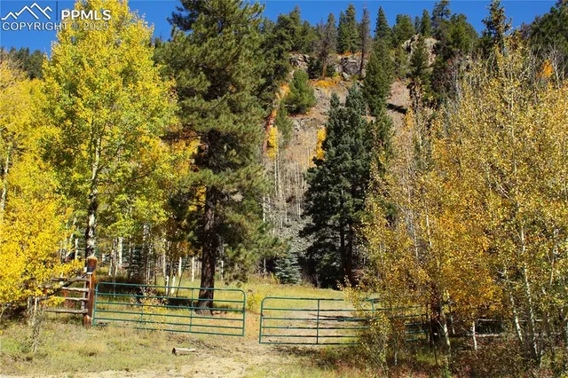 a view of large tree with wooden fence