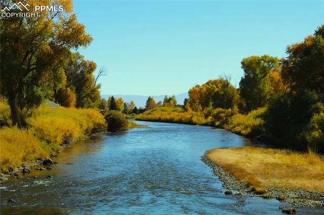 a view of road and trees