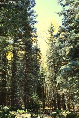 a view of a yard covered with snow
