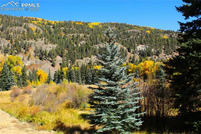 a view of swimming pool with a yard
