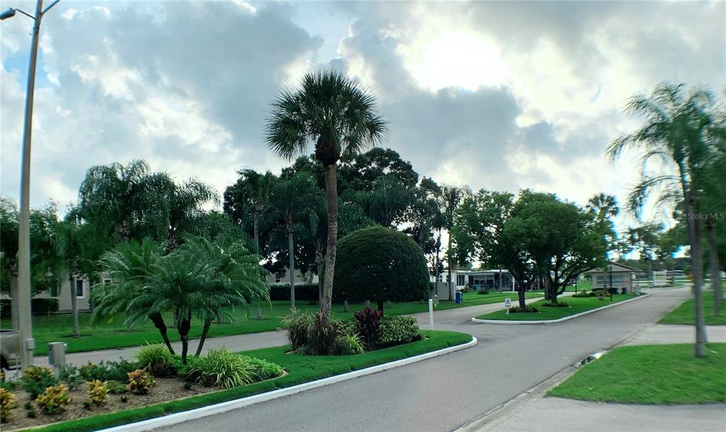 1100 South Belcher Road, Unit 260 Largo, FL 33771 - Photo 50 of 79