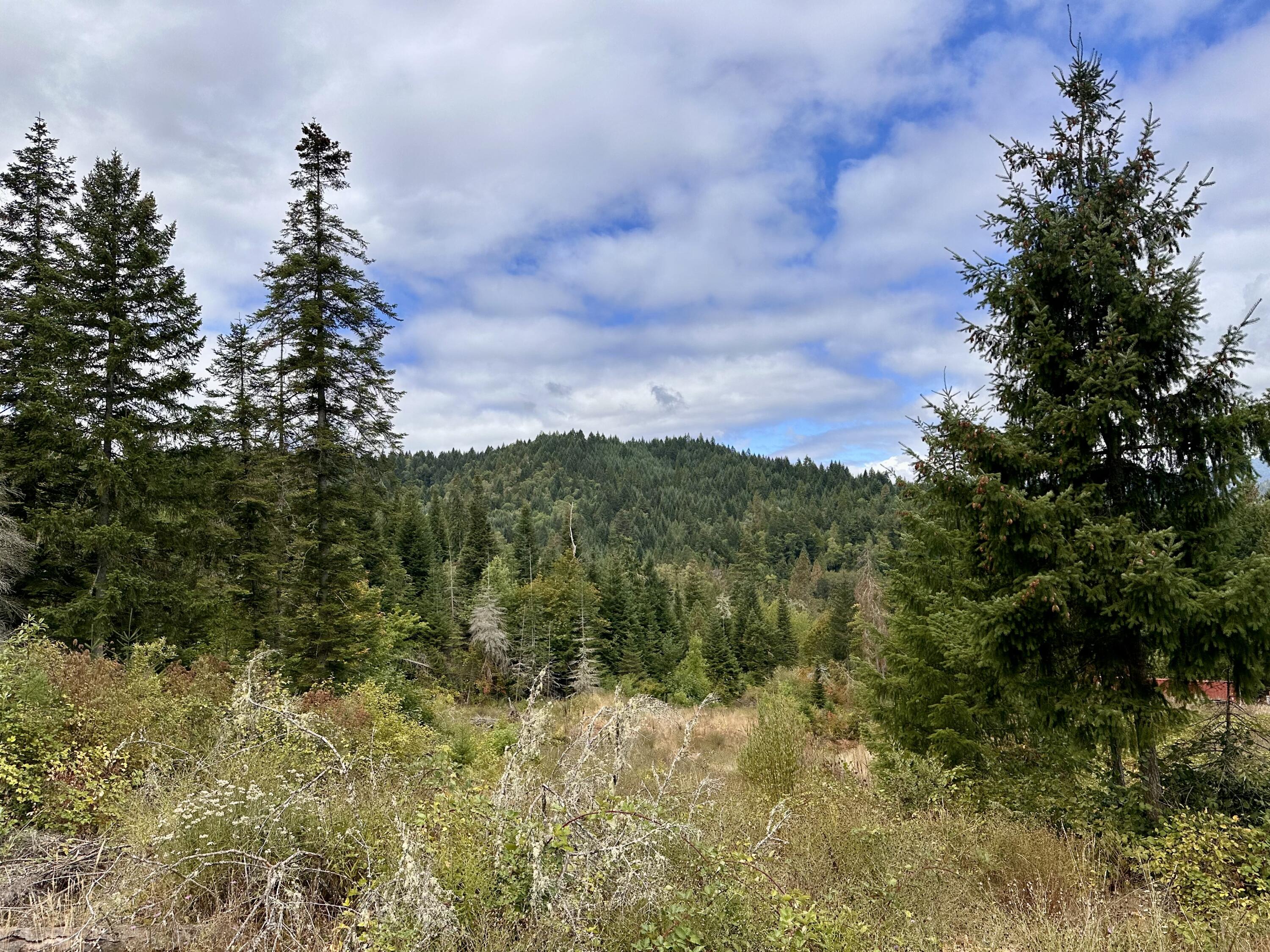 780 Tunnel Road Glendale, OR 97442 - Photo 19 of 25 02C96896-9228-4606-B531-75CAD2F80022_1_2