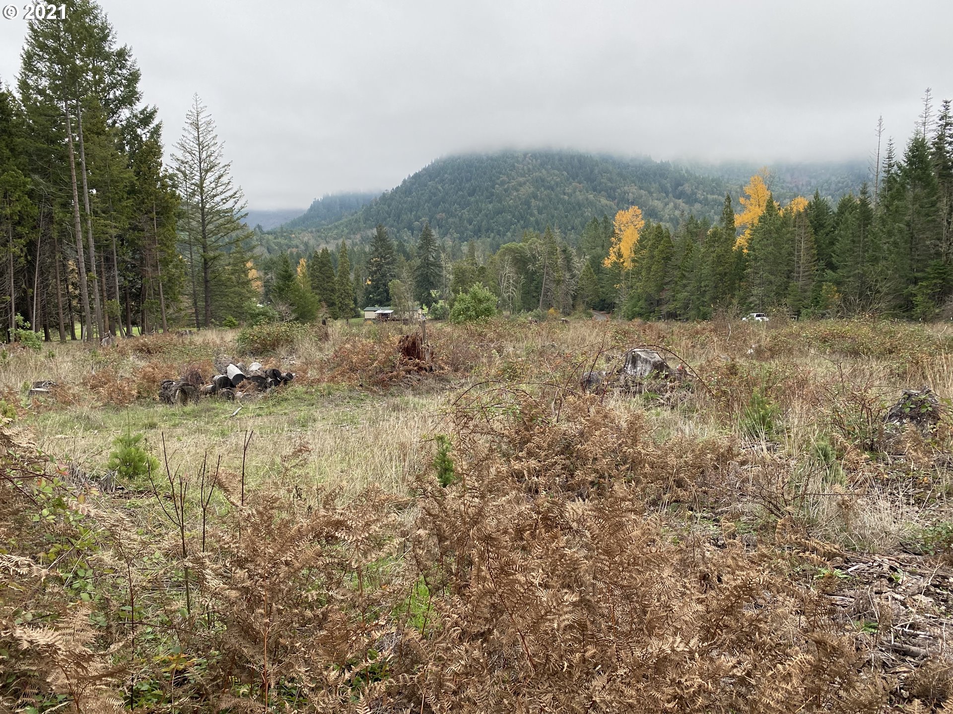 0 Quines Creek Road Glendale, OR 97442 - Photo 3 of 14 Gallery Image 3