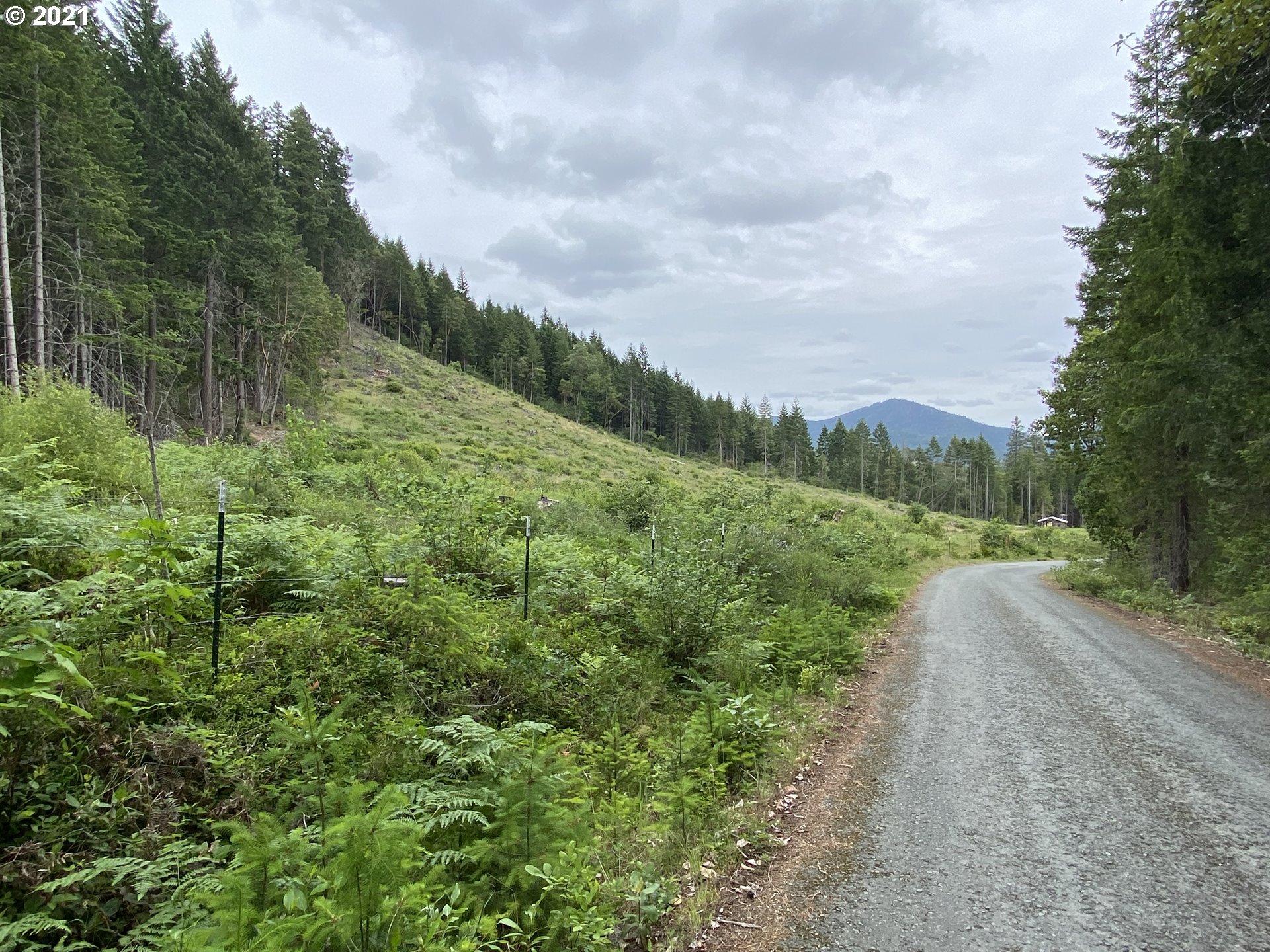 0 Quines Creek Road Glendale, OR 97442 - Photo 5 of 14 Gallery Image 5