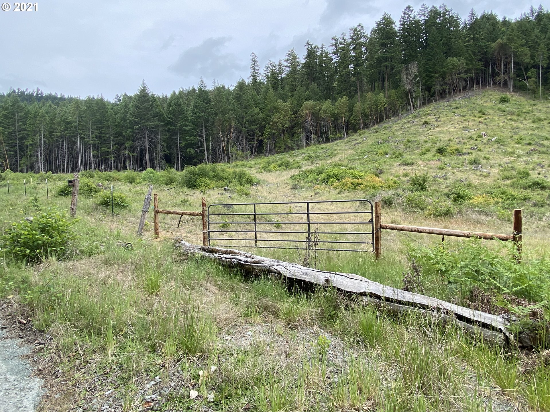 0 Quines Creek Road Glendale, OR 97442 - Photo 7 of 14 Gallery Image 7