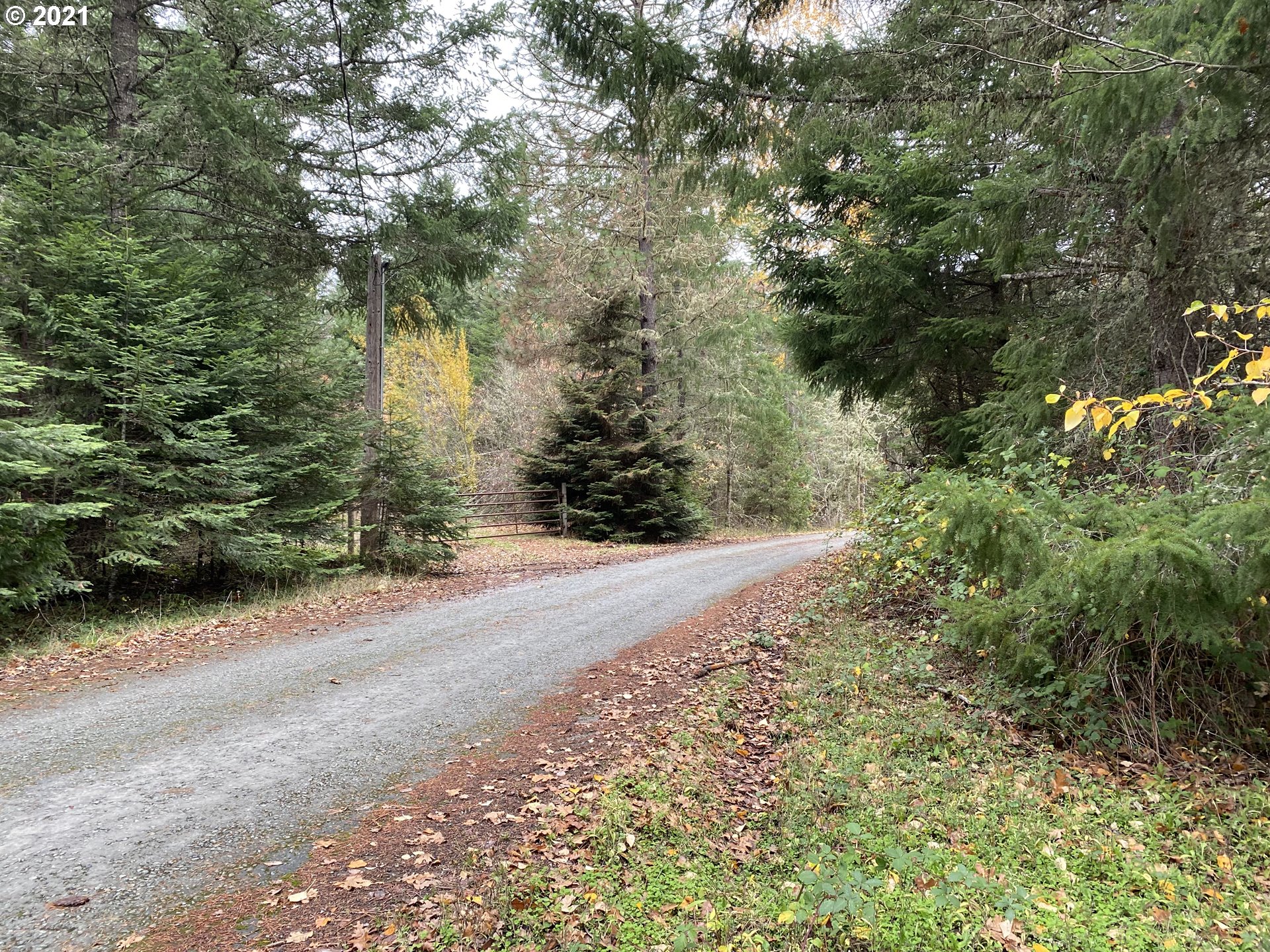 0 Quines Creek Road Glendale, OR 97442 - Photo 10 of 14 Gallery Image 10