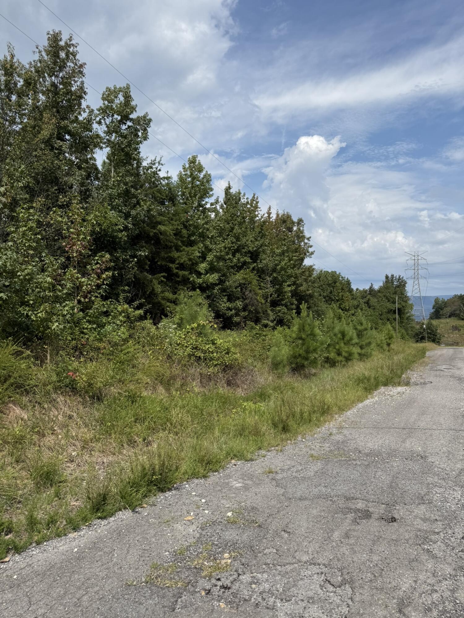 159 County Road 159 Bryant, AL 35958 - Photo 4 of 6 IMG_8732