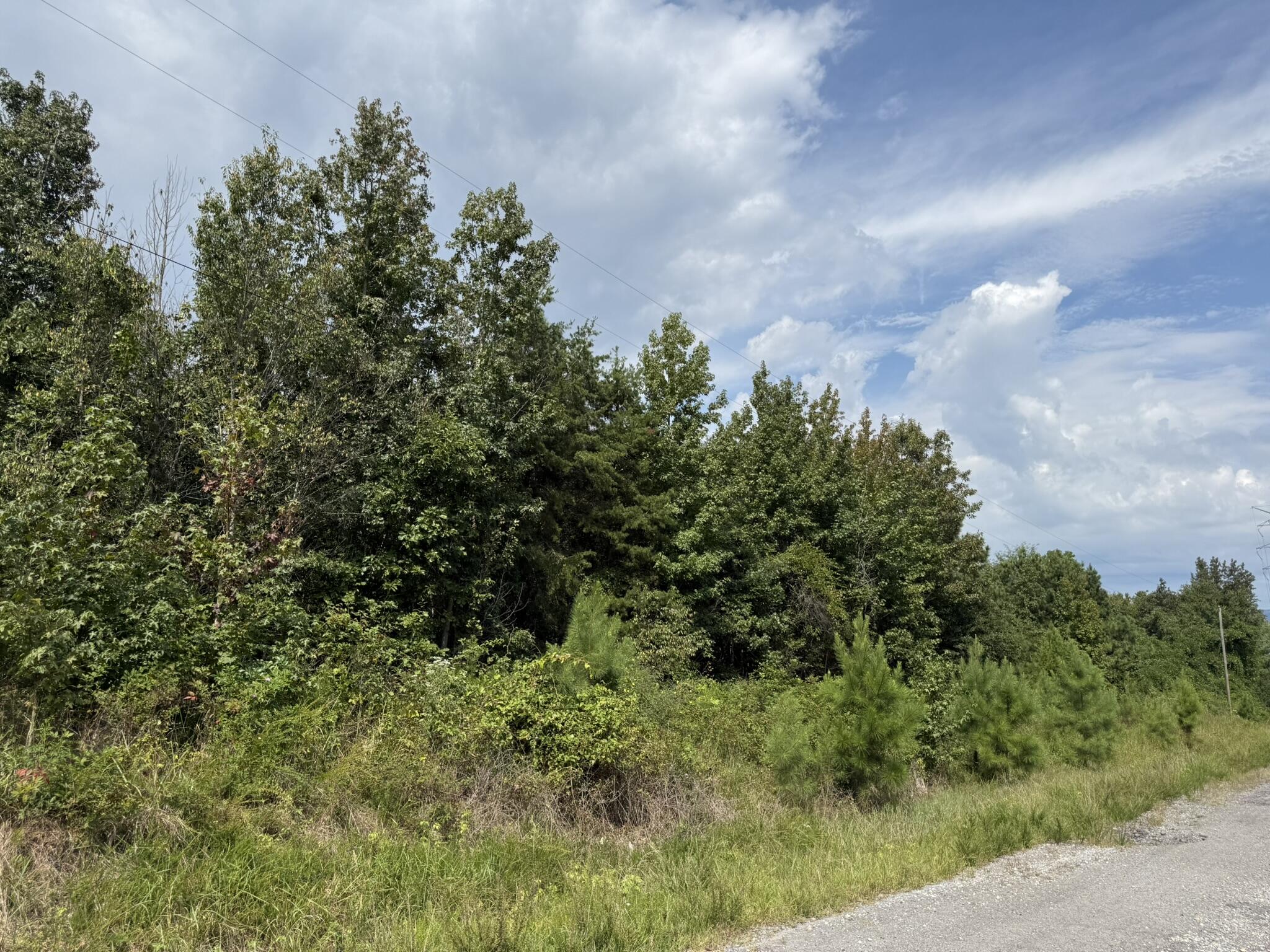 159 County Road 159 Bryant, AL 35958 - Photo 6 of 6 IMG_8727