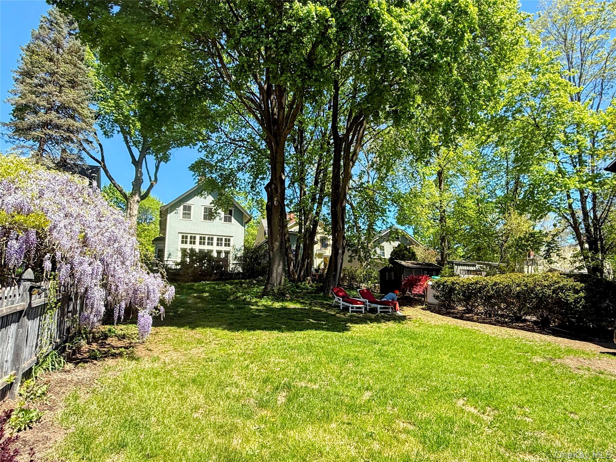 6 Church Street Cold Spring, NY 10516 - Photo 13 of 15 a view of a backyard with plants and a large tree