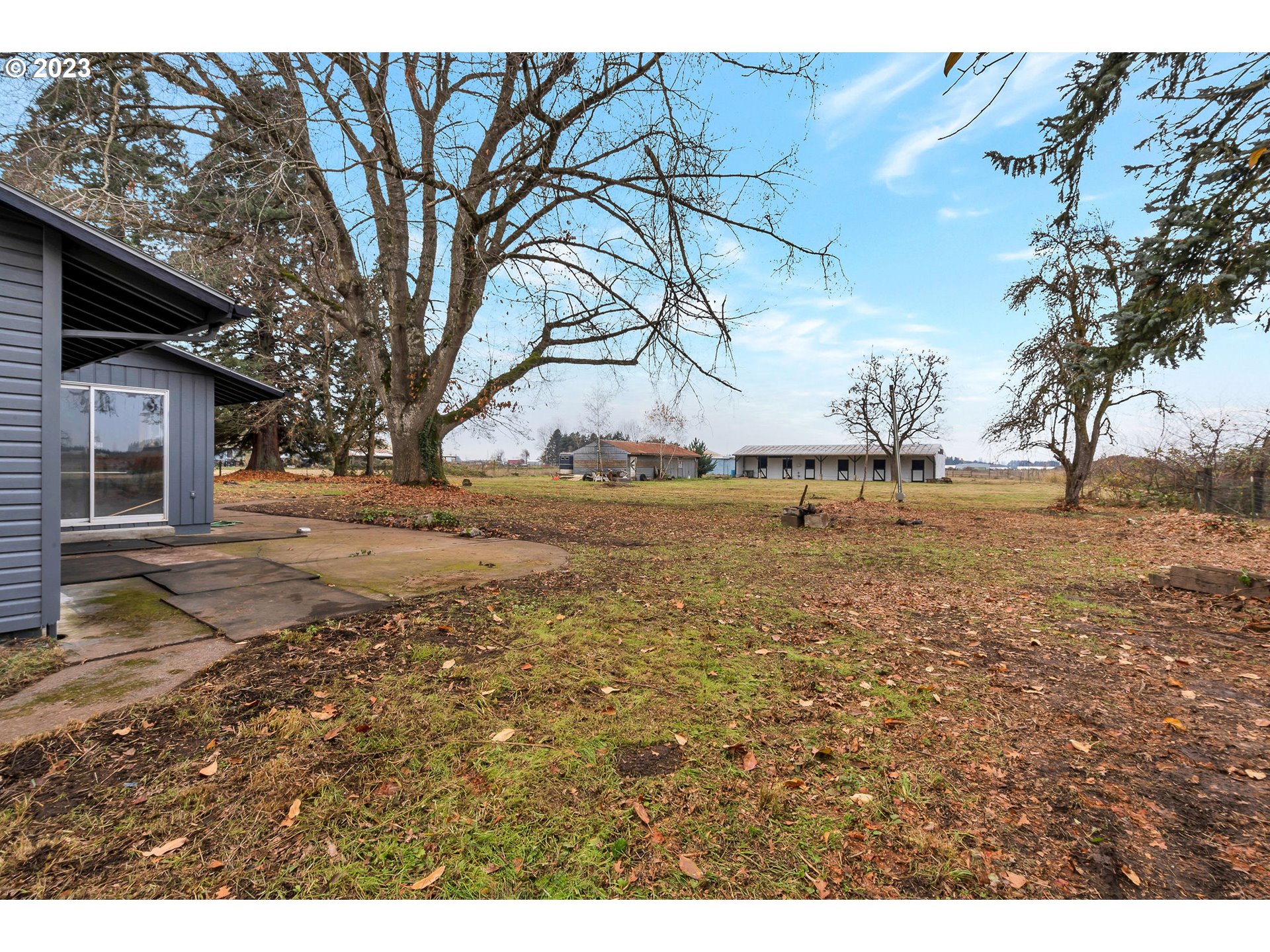 17511 Boones Ferry Road Northeast Hubbard, OR 97032 - Photo 20 of 28 a view of dirt yard with a large tree