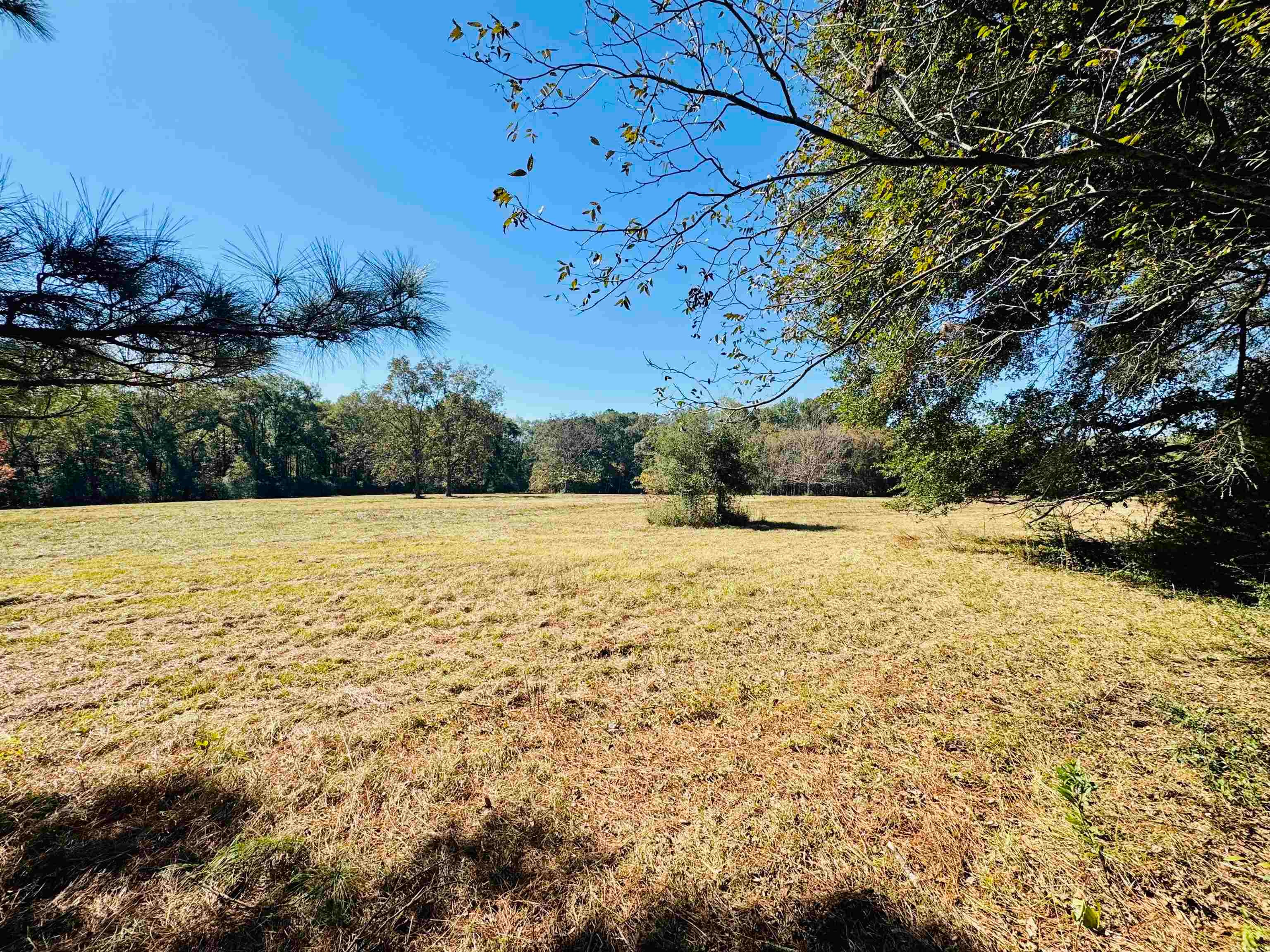 23109 Fleeta Road Opp, AL 36467 - Photo 13 of 32 Gallery Image 13