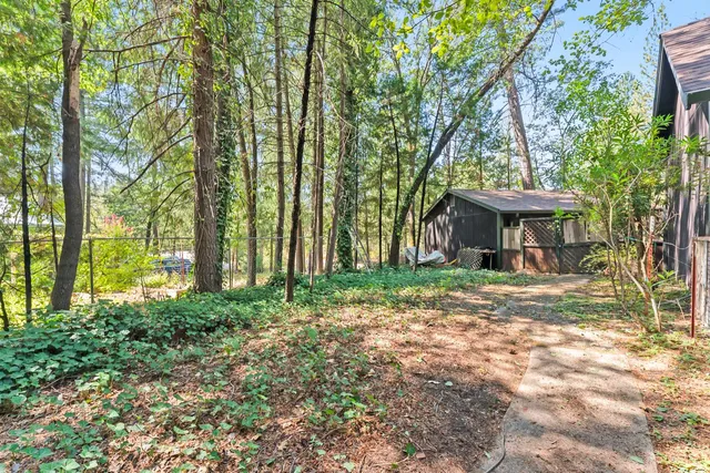 a view of outdoor space with trees