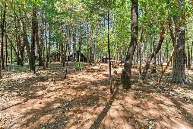 $359,000 | 16907 Cache Lane, Brownsville, CA 95919