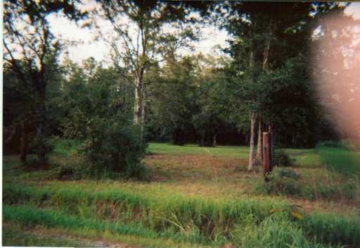 0 Labostrie Road Lacombe, LA 70445 - Photo 3 of 3 Gallery Image 3