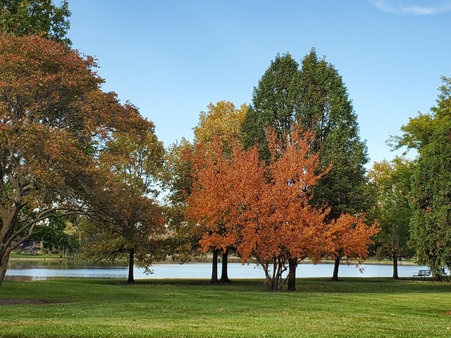 837 Pahl Road, Unit 837 Elk Grove Village, IL 60007 - Photo 22 of 26