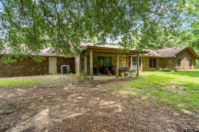 a view of a field with a tree