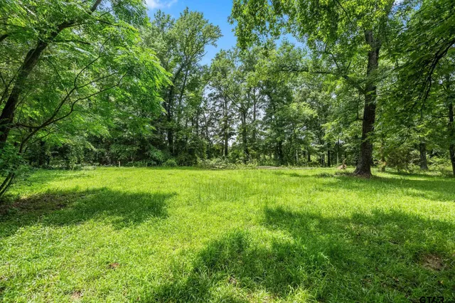 a backyard of a house with large trees and plants