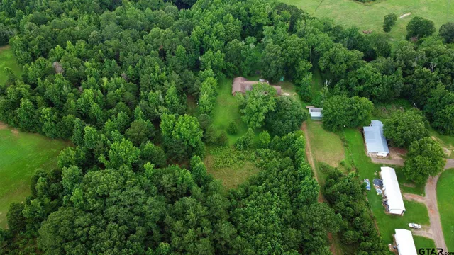 a view of a trees in a yard