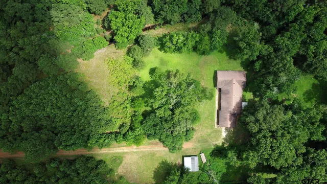 a view of a tree in a park