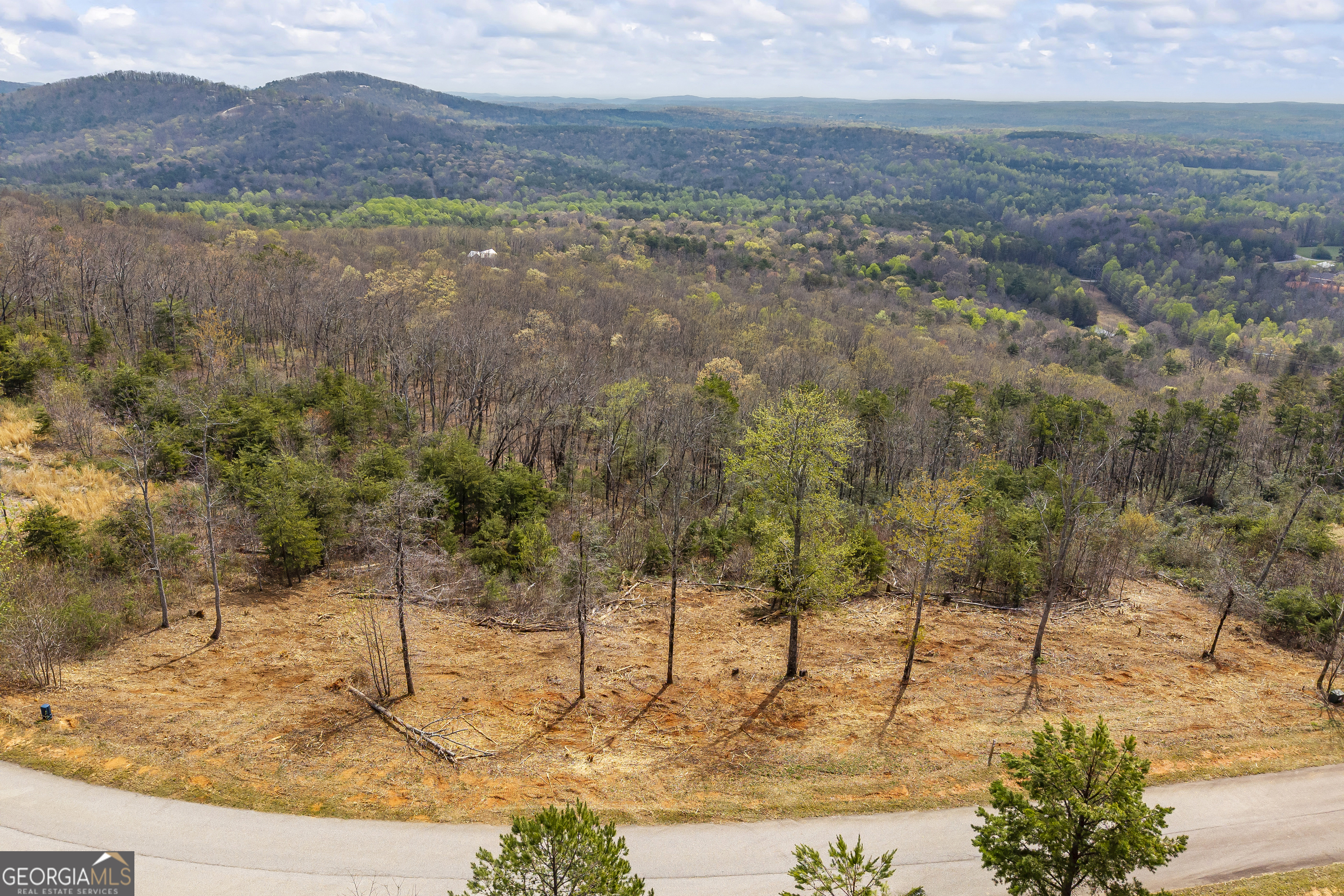 Lot 36 Mountain Ridge Drive Clarkesville, GA 30523 - Photo 31 of 53