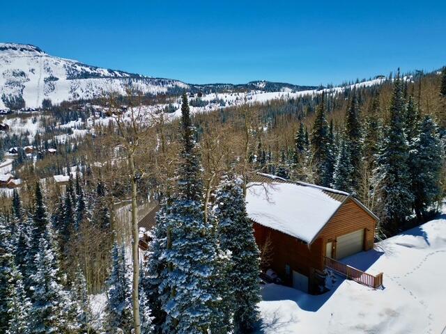 699 West Hunter Rdg Drive Brian Head, UT 84719 - Photo 61 of 62 DJI_0397