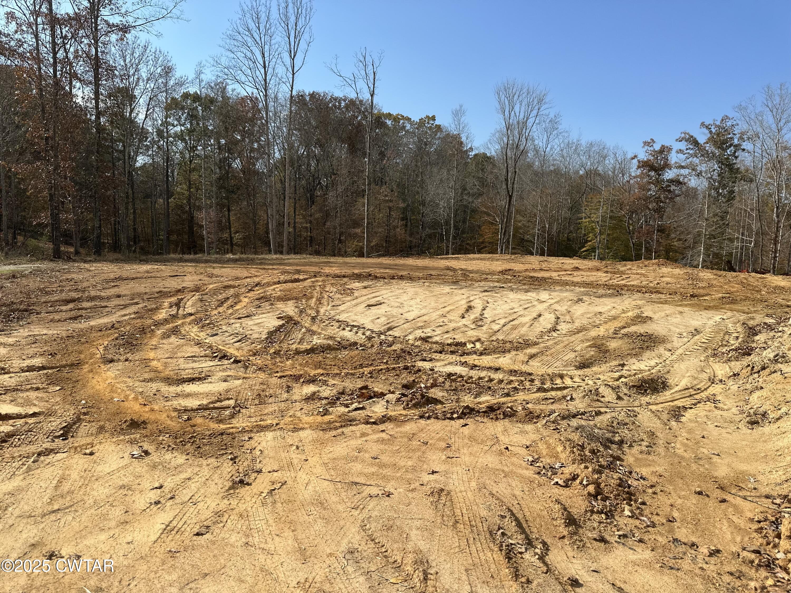 a view of large yard