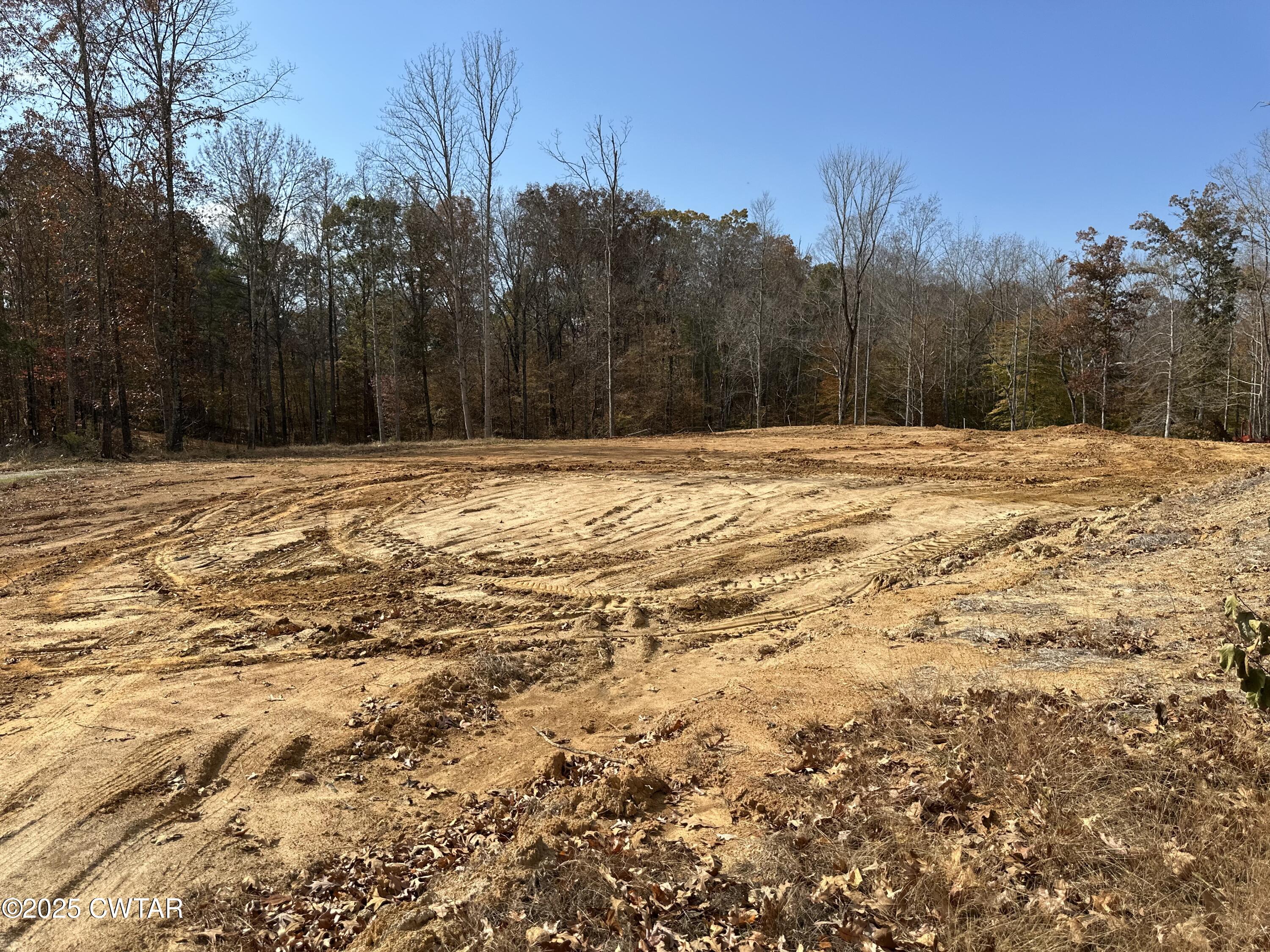 175 Center Point Road South Reagan, TN 38368 - Photo 2 of 2