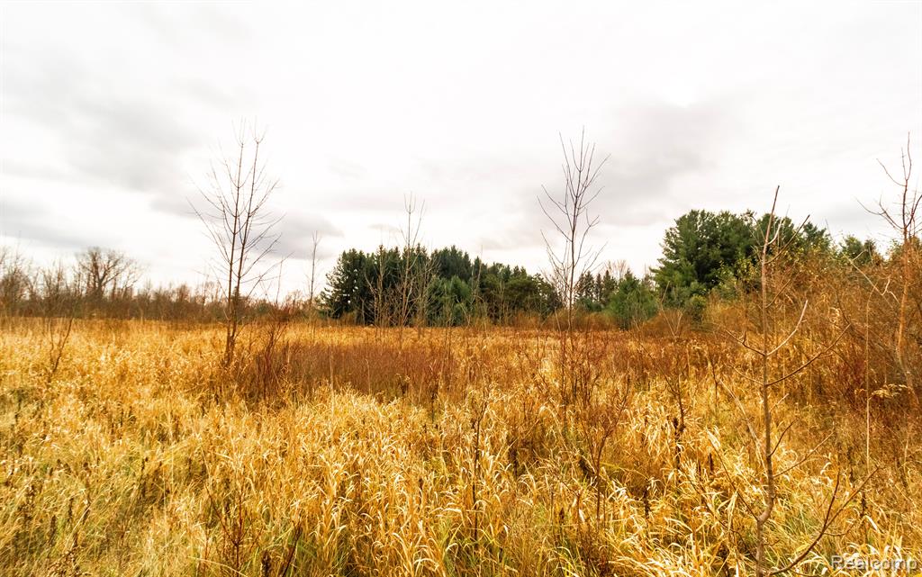 6152 Old State Road North Branch, MI 48461 - Photo 22 of 32 Gallery Image 22