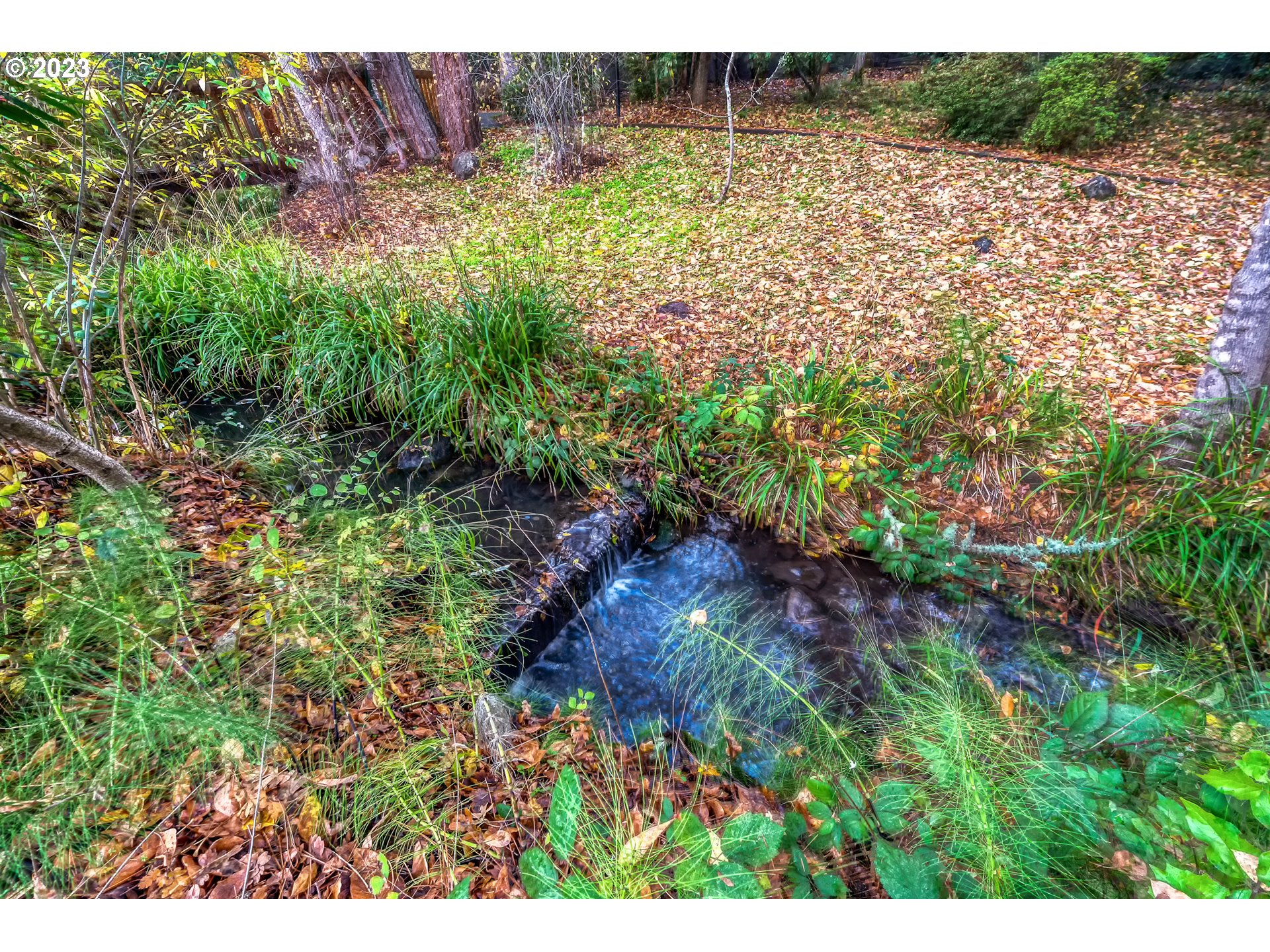 109 Westbrook Way Eugene, OR 97405 - Photo 36 of 36 a view of a yard with plants and large trees