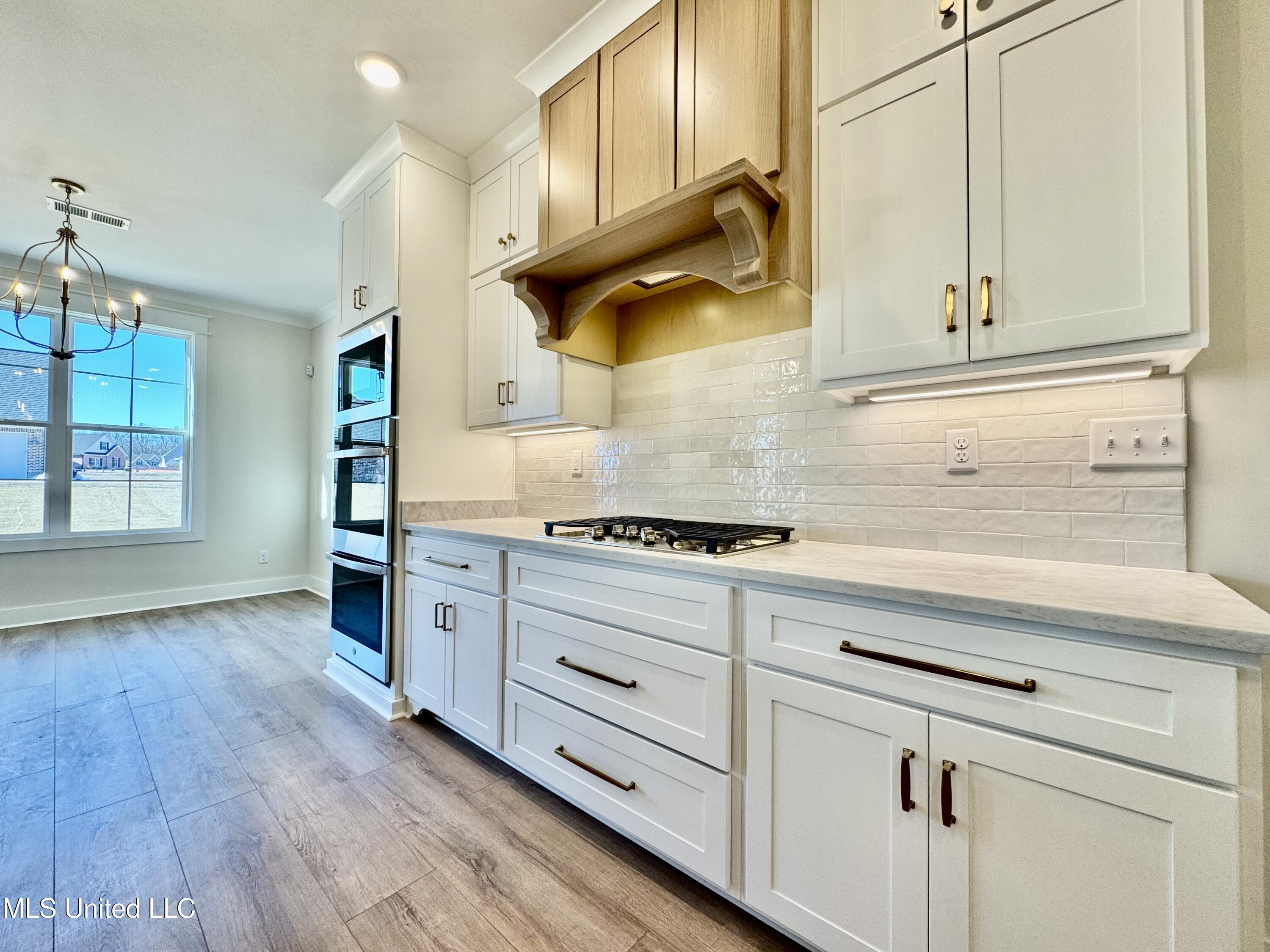 1755 Bakersfield Way Nesbit, MS 38651 - Photo 17 of 41 IMG_4716