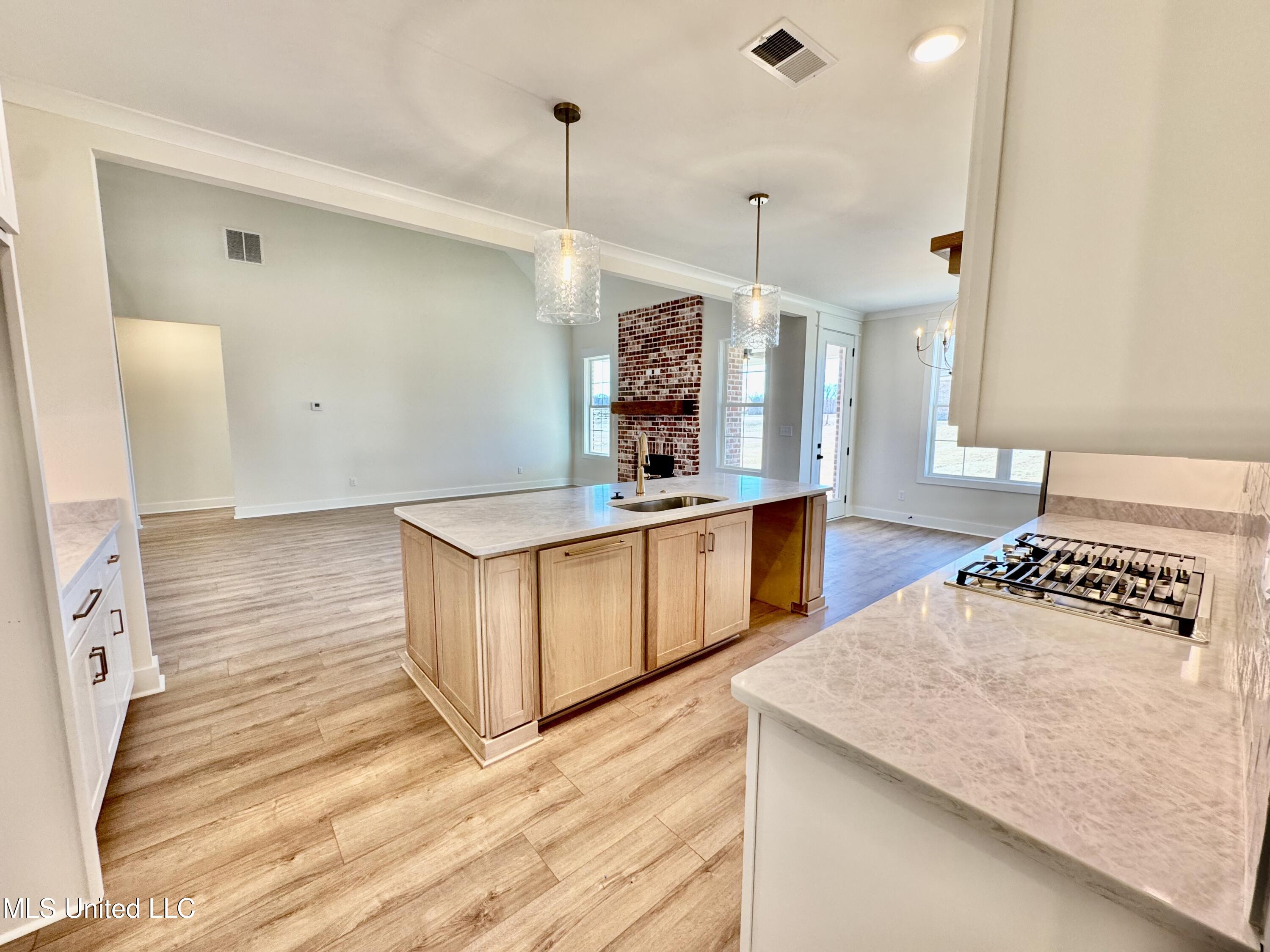 1755 Bakersfield Way Nesbit, MS 38651 - Photo 19 of 46 IMG_4684