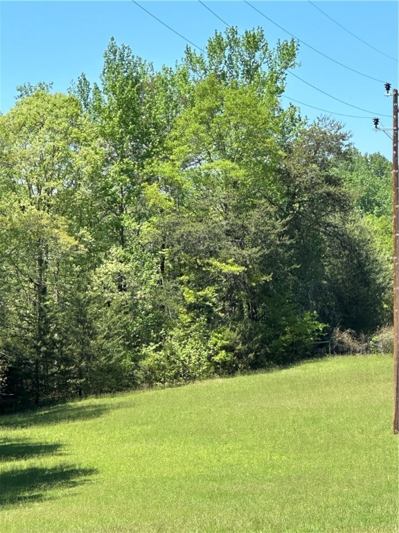 0 Amsterdam Road Liberty, SC 29657 - Photo 1 of 3