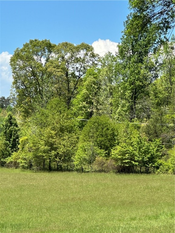 0 Amsterdam Road Liberty, SC 29657 - Photo 3 of 3