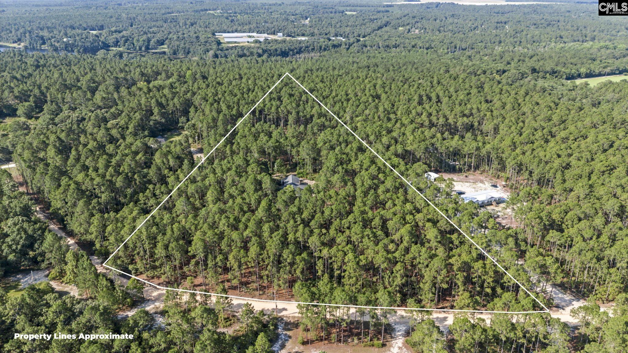 257 Rimrock Road Gilbert, SC 29054 - Photo 9 of 26