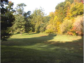 1183 Old Rte 17 Windsor, NY 13865 - Photo 3 of 4 Gallery Image 3