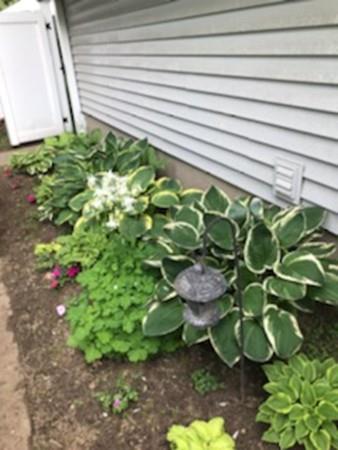 20 Dutton Street Springfield, MA 01151 - Photo 34 of 37 Gallery Image 34