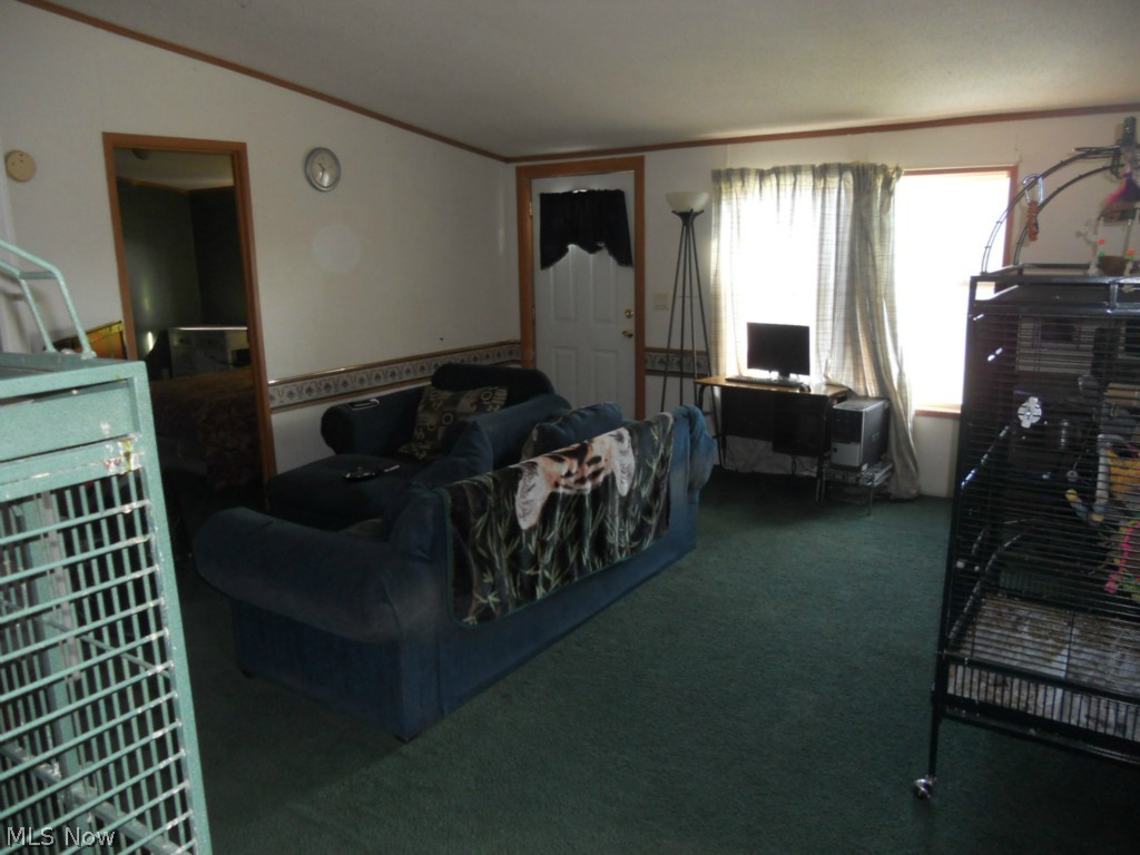 9137 Center Road Blue Rock, OH 43720 - Photo 2 of 25