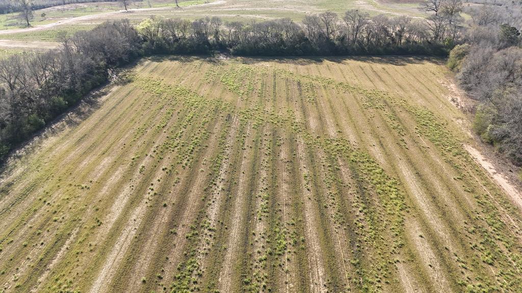 Lot 1 Gilley Mill Road Dothan, AL 36305 - Photo 1 of 3