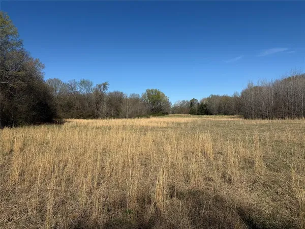$450,000 | 44250 County Road 44250, Powderly, TX 75473