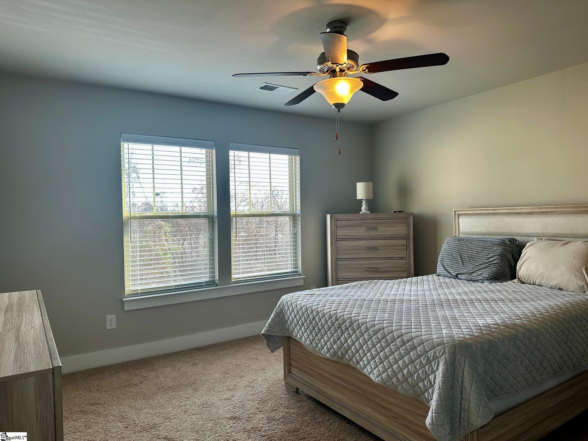 215 Meritage Drive Greer, SC 29651 - Photo 18 of 32