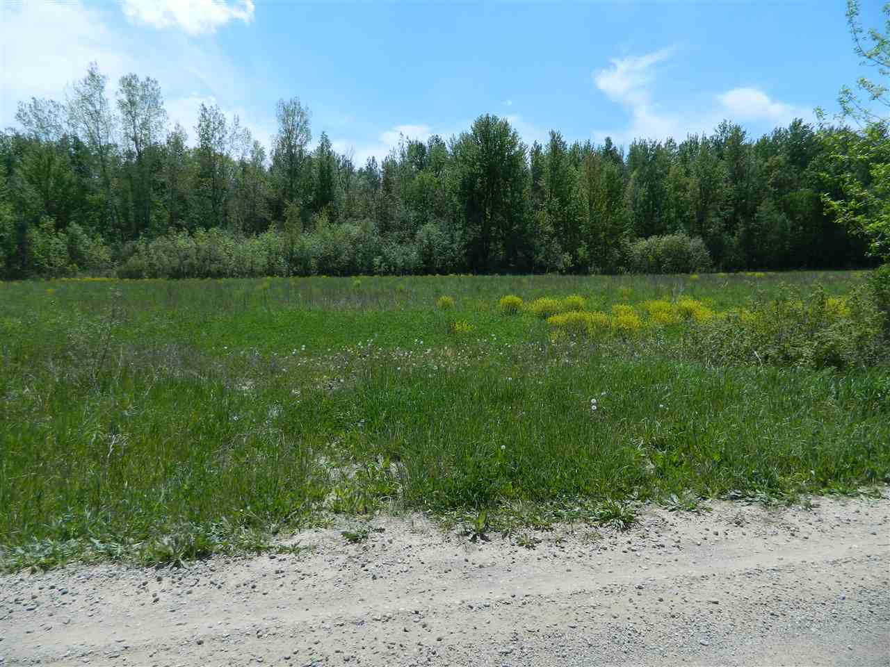 0 West Mt Forest Road Pinconning, MI 48650 - Photo 2 of 11