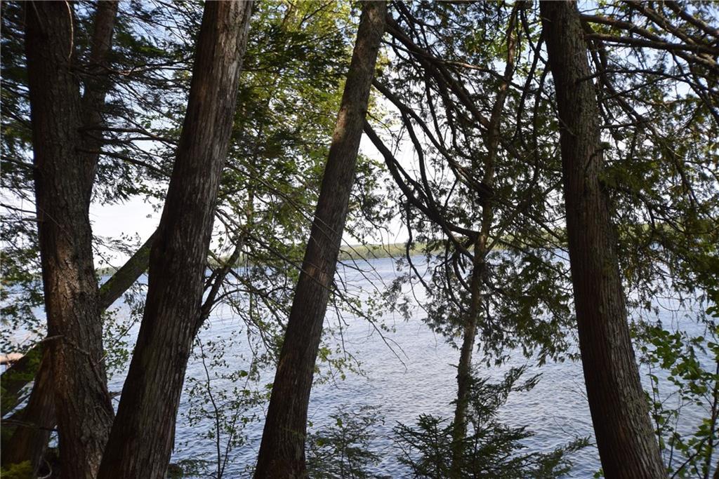 432 Lot Road Danforth, ME 04424 - Photo 6 of 10 Peaking thru the trees at the lake...