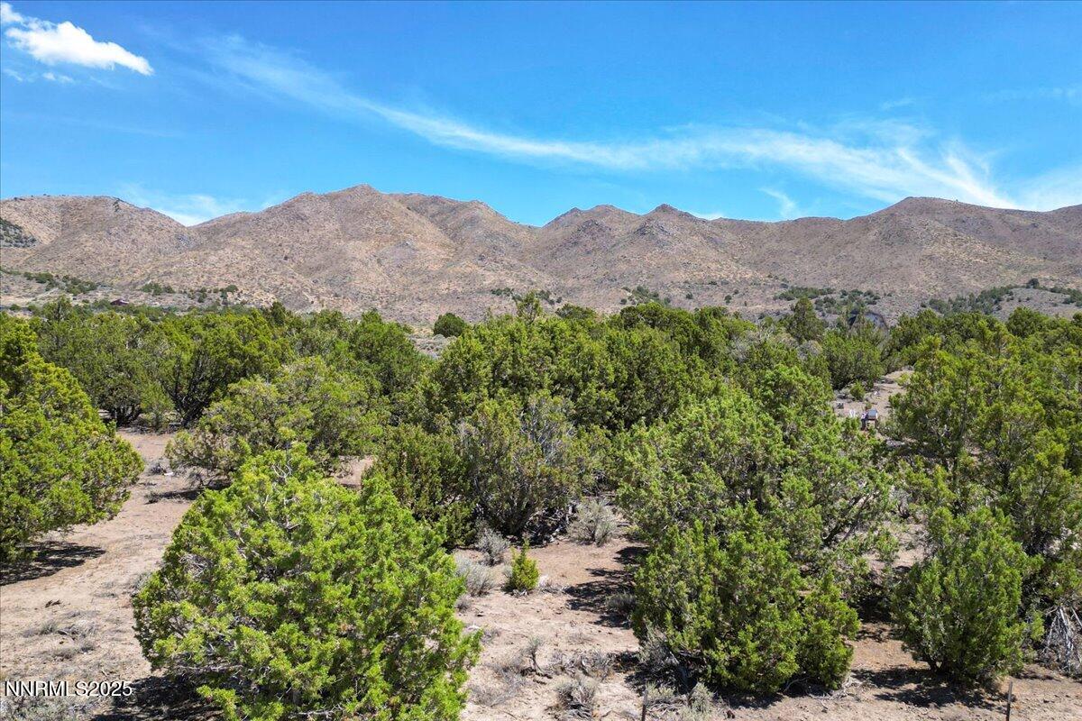 1025 Wendell Lane Reno, NV 89508 - Photo 11 of 21 a view of a mountain range with a lush green hillside